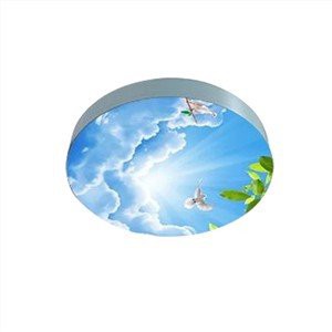 ကျဆင်းထားသော မီးခေါင်မီးဘောက်စ်